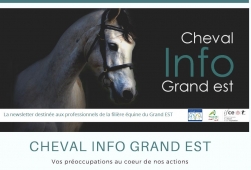 Cheval Info Grand Est N°6