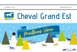Newsletter 1 - Janvier 2021