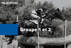 Projet sportif FFE 2022-2024