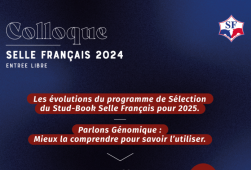 | Relai | Selle Français - Colloque 2024