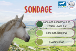 Sondage : Concours Connemara en Région Grand Est