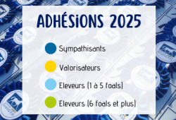 Adhésions 2025