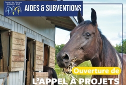 |Relai CCGE| Aides et Subventions