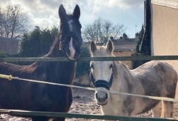 Recherche 2 places au parc