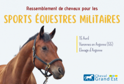 Rassemblement de chevaux pour les Sports...