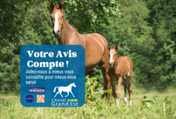 Votre avis compte : construisons ensemble...