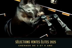 Sélection ventes élites NASH - chevaux de 3...