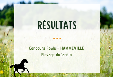 Résultats _ Concours Foals Hammeville
