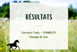 Résultats _ Concours Foals Chambley
