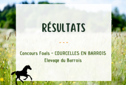 Résultats _ Concours Foals Courcelles en Barrois