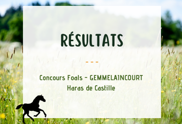 Résultats _ Concours Foals Gemmelaincourt
