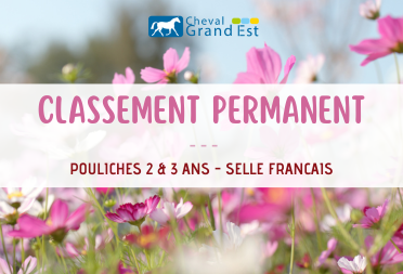 Classement permanent - Voie Femelles Selle...