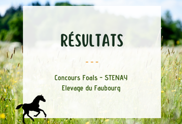 Résultats _ Concours Foals Stenay