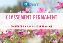 Classement permanent - Voie Femelles Selle...