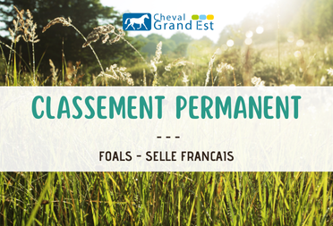 Classement permanent - Foals SF