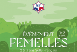 Evènement Femelles 2 & 3 ans SF