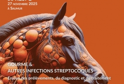 8ème rencontre du RESPE à Saumur