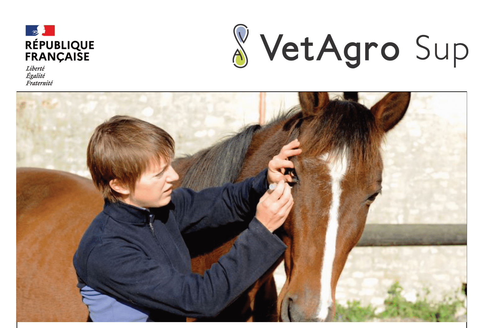 VetAgro Sup - Formation Entrainement aux soins des...