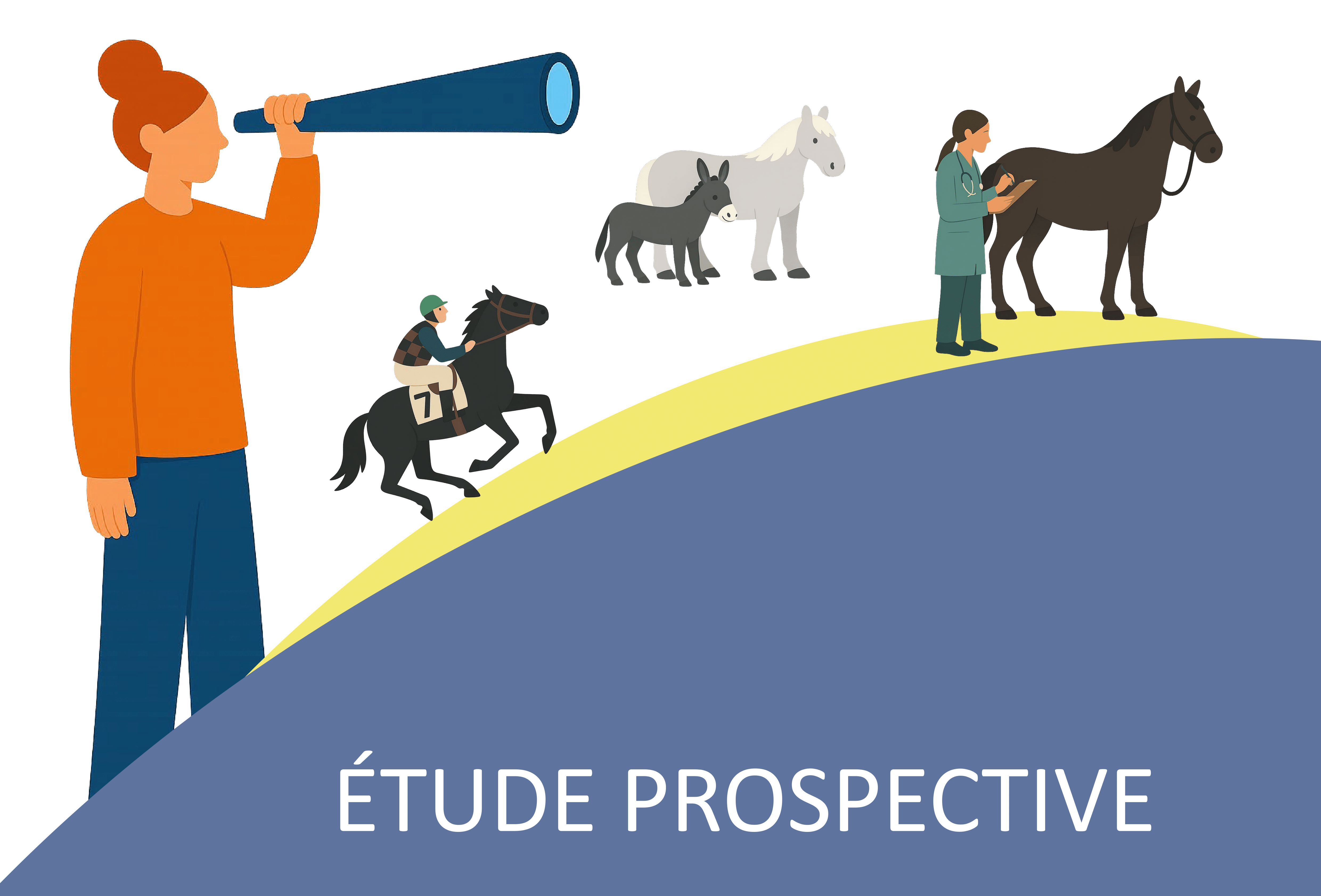 La filière équine à l'horizon 2024