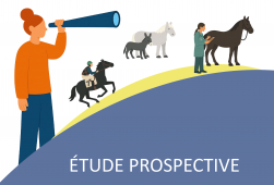 La filière équine à l'horizon 2024