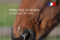 Tout savoir sur les maladies : La gourme