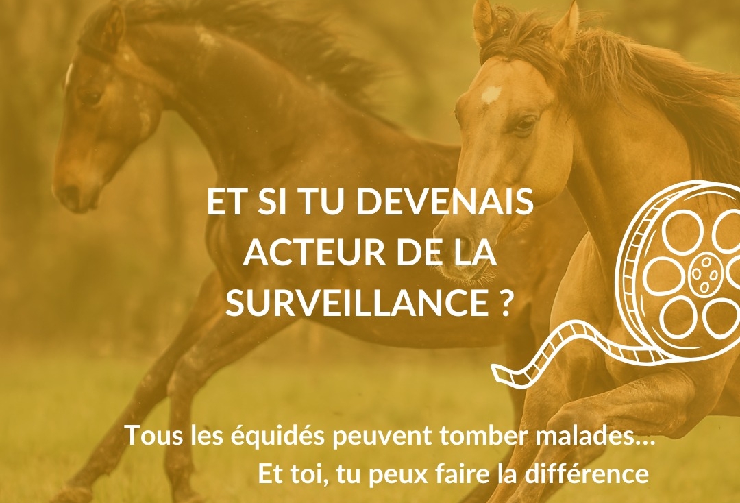 RESPE - et si vous deveniez acteur de la surveillance ?