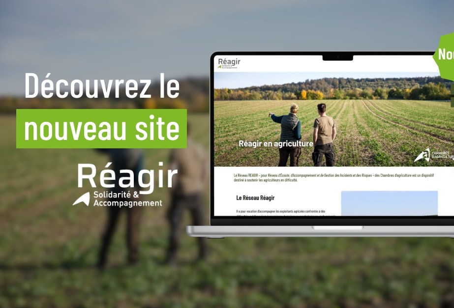 REAGIR, le nouveau site pour accompagner les...