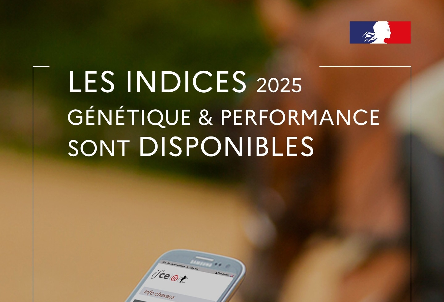 IFCE | Indices 2025