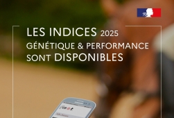IFCE | Indices 2025