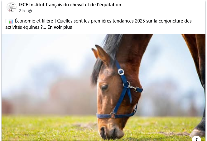 IFCE | Quelles sont les premières tendances 2025...