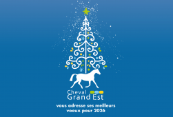 Nos meilleurs vœux pour l'année 2026