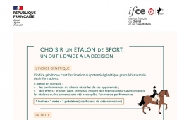 Relai IFCE - POSTER Choisir un étalon de...