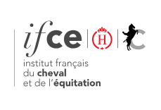 Relai IFCE - Trois formations au Haras...