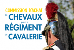Commission d'achat de chevaux du régiment de...