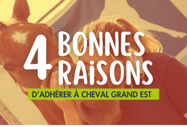 Adhésions 2026 : rejoignez Cheval Grand Est !