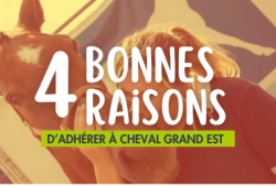Adhésions 2026 : rejoignez Cheval Grand Est !