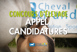 Appel à candidatures : accueillez un concours...