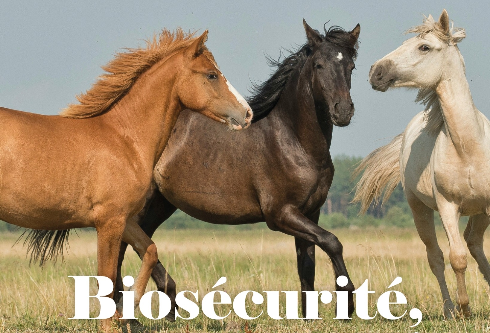 Relai CCGE - Sanitaire