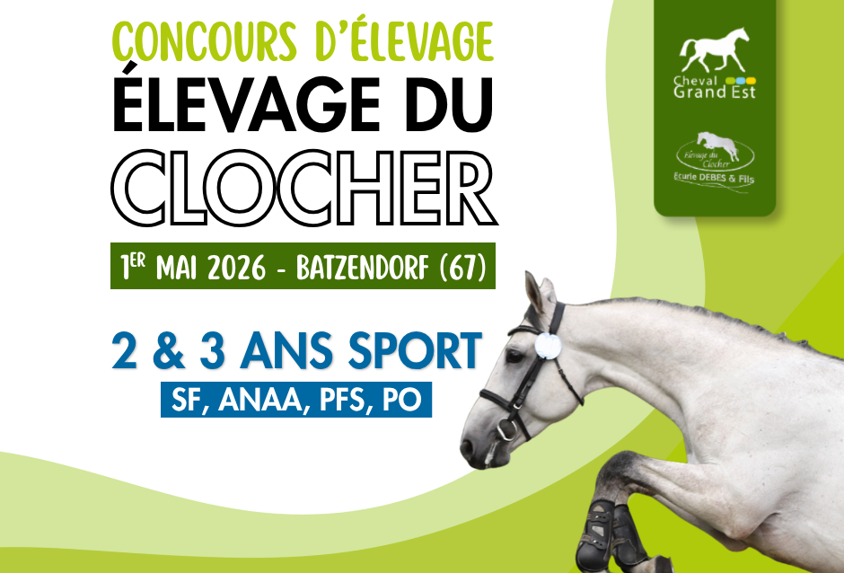 Concours d'élevage - 2&3 ans - Batzendorf