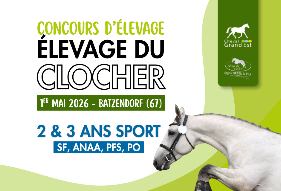 Concours d'élevage - 2&3 ans - Batzendorf