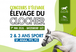 Concours d'élevage - 2&3 ans - Batzendorf