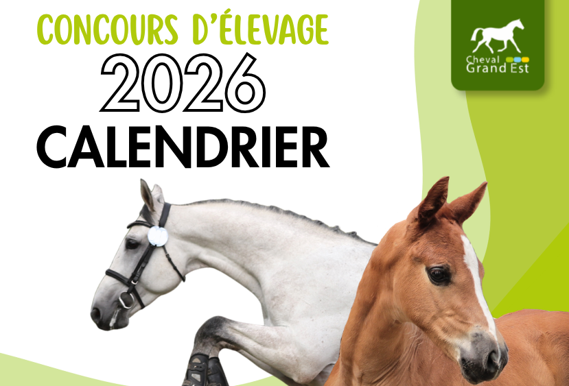 Calendrier 2026 - Concours d'élevage 0-3 ans